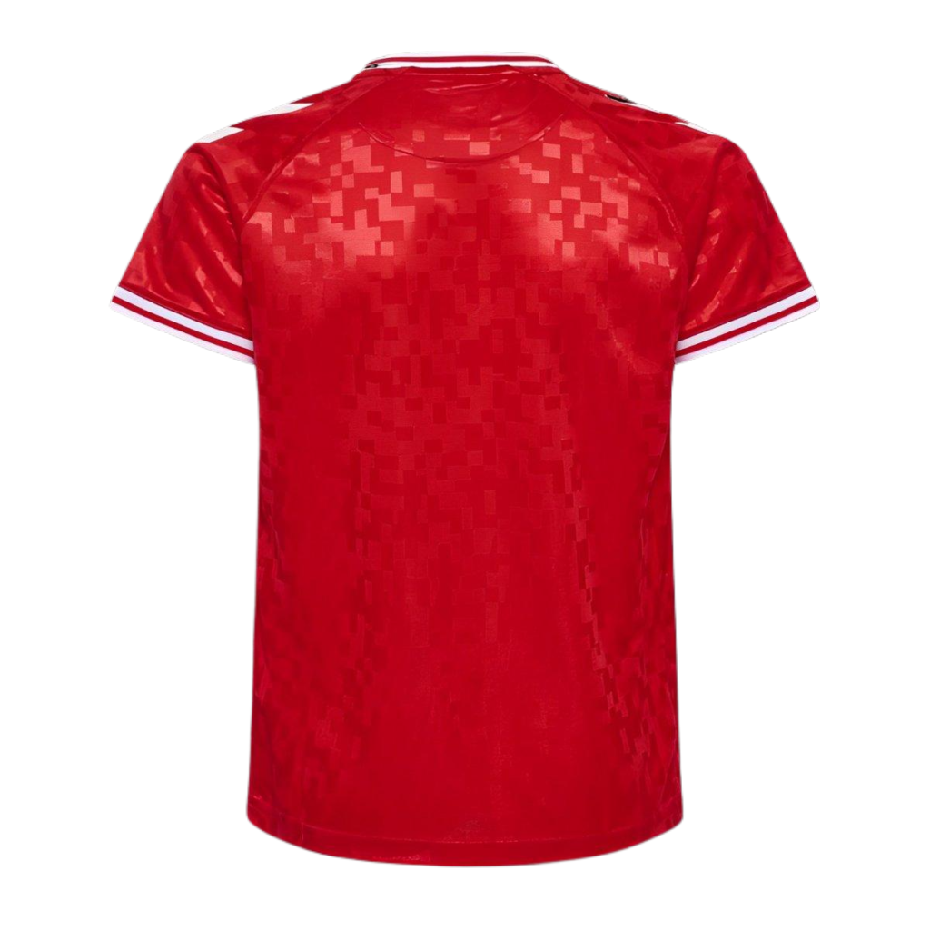 Camiseta Selección Dinamarca Eurocopa 2024