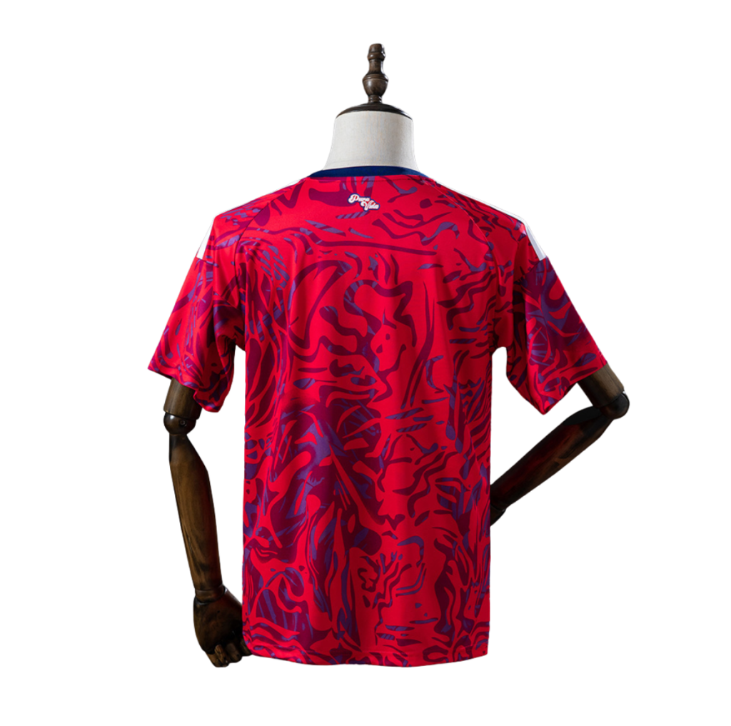 Camiseta Selección Costa Rica Mundial 2026