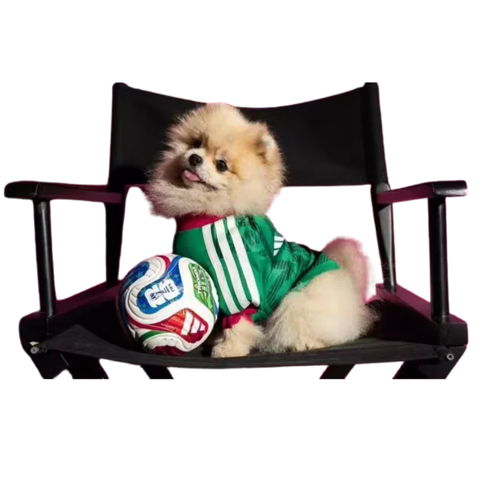 Ropa Mascota Mexico