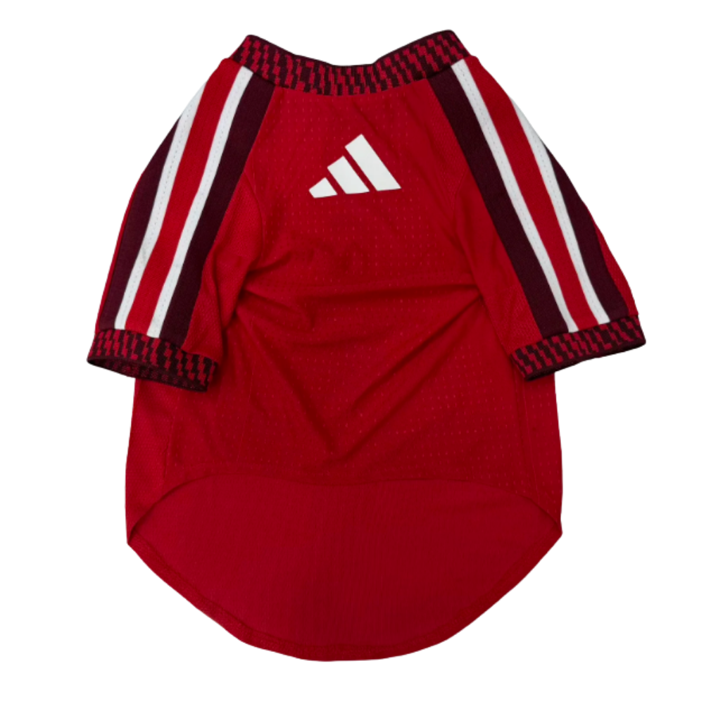 Ropa Mascota Arsenal