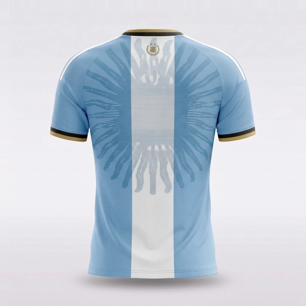 Camiseta Selección Argentina - Despedida Leo Messi (espalda)